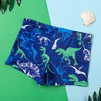 Kaftan Плавки купальные для мальчика Динозавры, размер 32 / цвет синий					